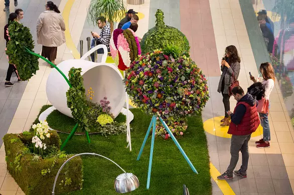 floral expo4