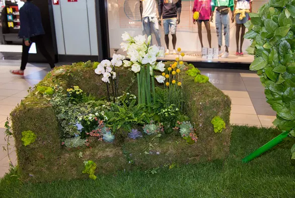 floral expo