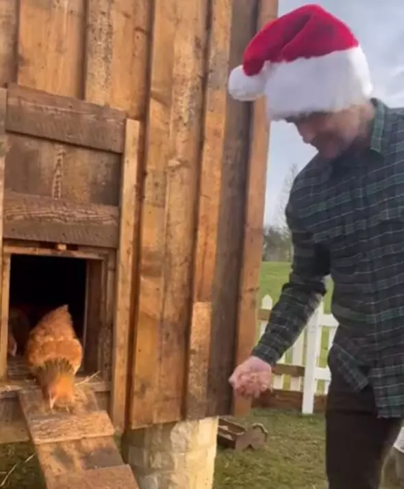 victoria-beckham-husband-david-christmas-gift-chickens-5133655