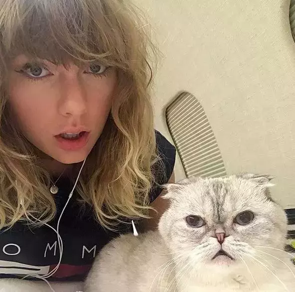 7taylor-swift