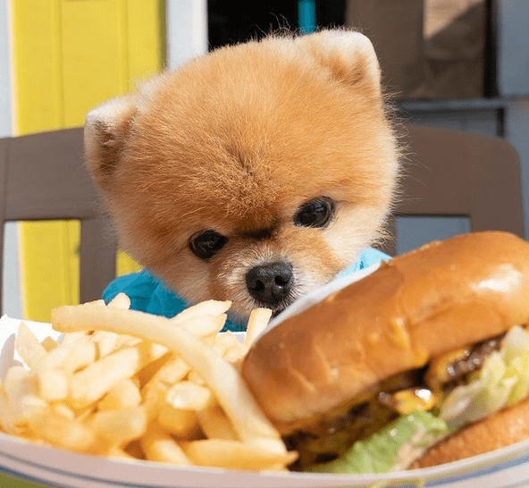 Jiff Pom
