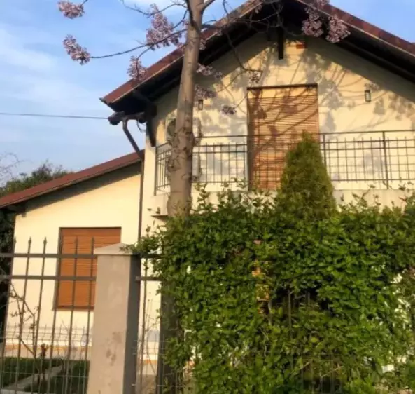 Vila-Alexandru-Arsinel-1