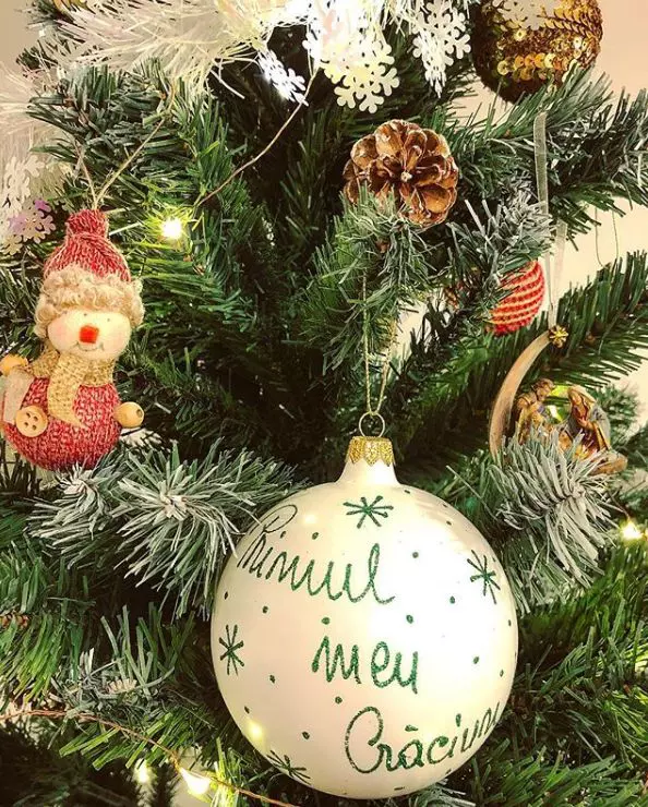 Andreea si Cabral Ibacka au brad ”personalizat”