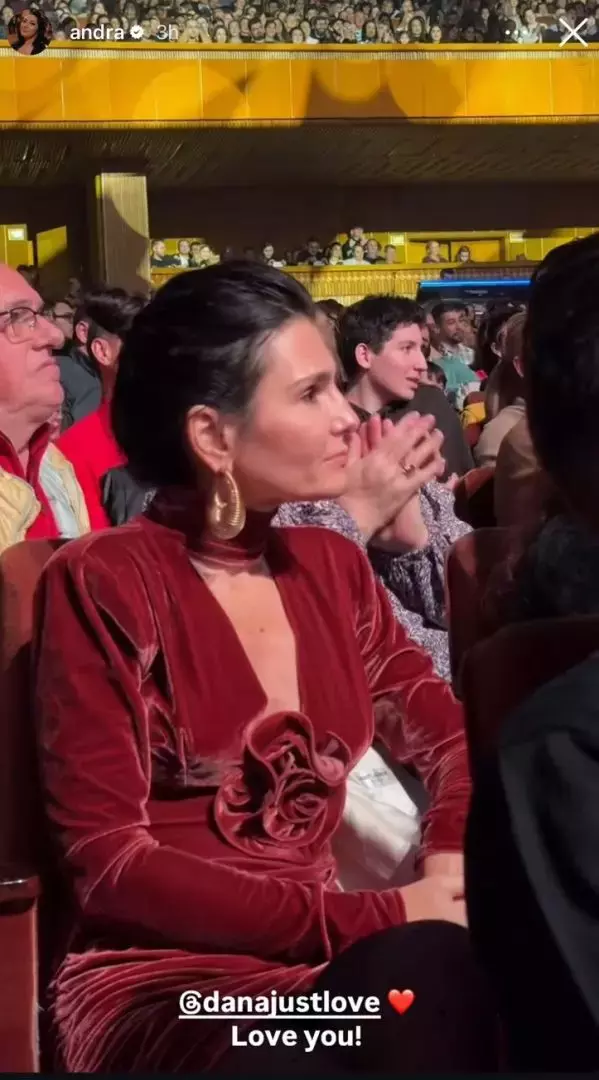 dana-budeanu-786 (1)