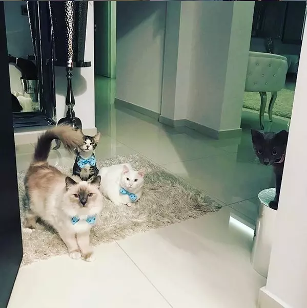 Oana Zăvoranu este o mare iubitoare de animale