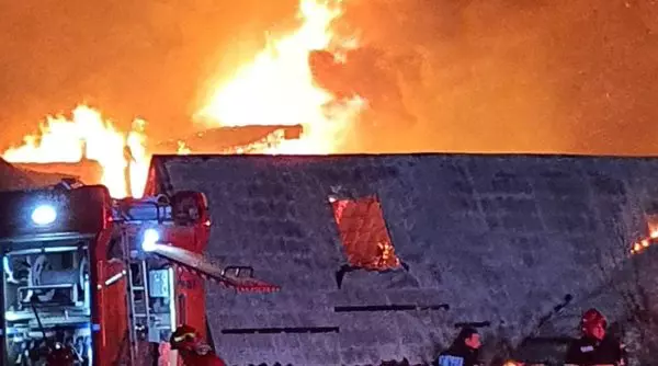 tudorel-butoi-incendiu-pensiune-prahova-mana-criminala-877527