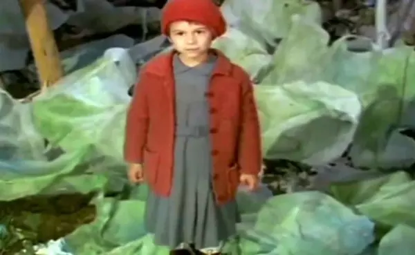Lizuca din Dumbrava minunată