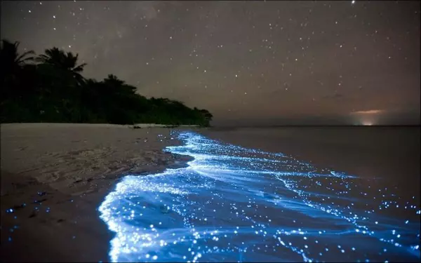 Marea de stele