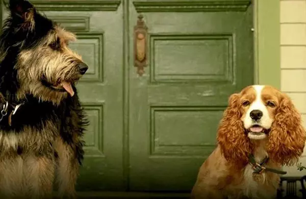 Lady and the Tramp (Doamna și Vagabondul)