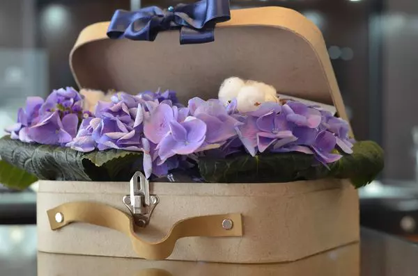 Lansare Baby Malvensky