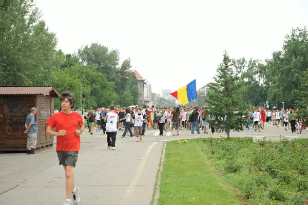 “Mişcarea contra statului” 2013