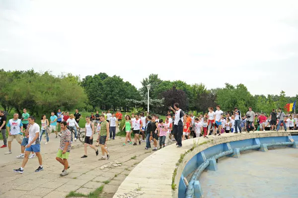 “Mişcarea contra statului” 2013