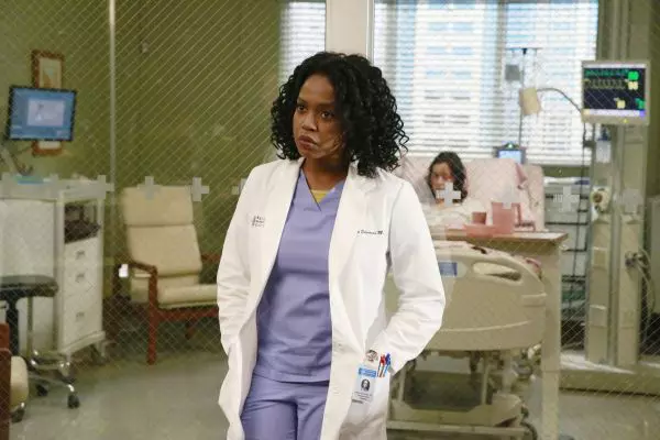 Jerrika Hinton Anatomia lui Grey