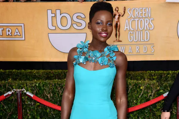 20th Annual Screen Actors Guild Awards - By Lionel Hahn