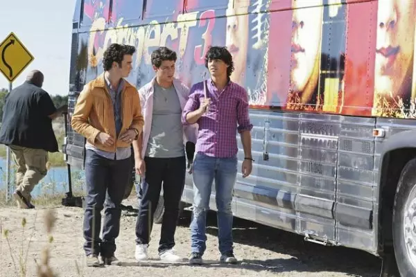2. The Jonas Brothers