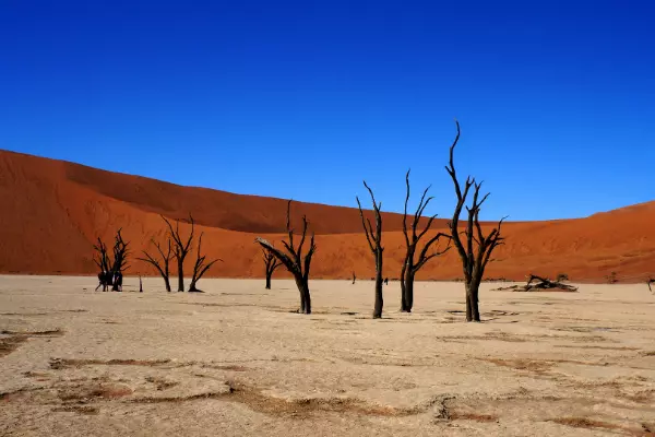 2. Parcul Național Namib-Naukluft – Namibia