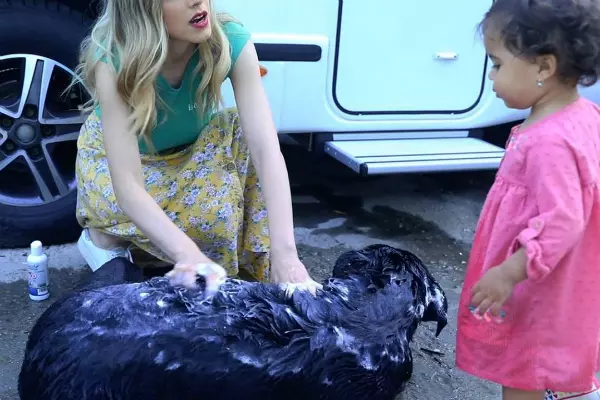 Imagini inedite cu Namiko, fiica lui Cabral și a Andreei Ibacka