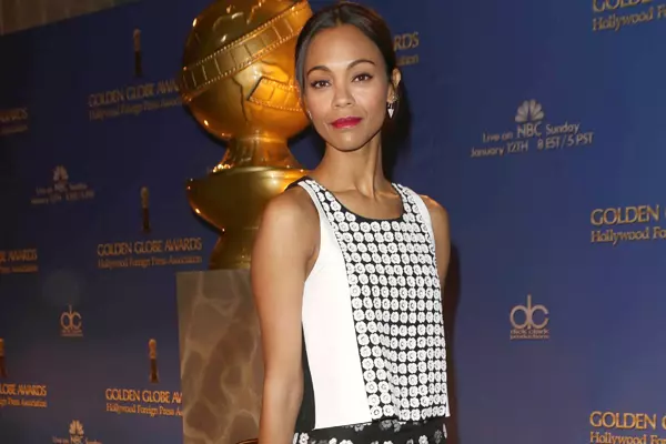 71st Annual Gold Globe Awards Nominations, Los Angeles, America - 12 Dec 2013