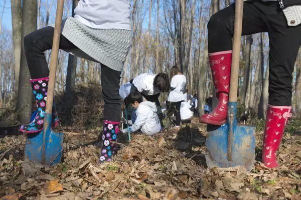 Să Plantăm pentru Planetă