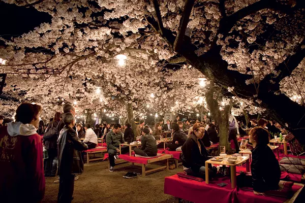 O noapte de primavara cu ciresi infloritii