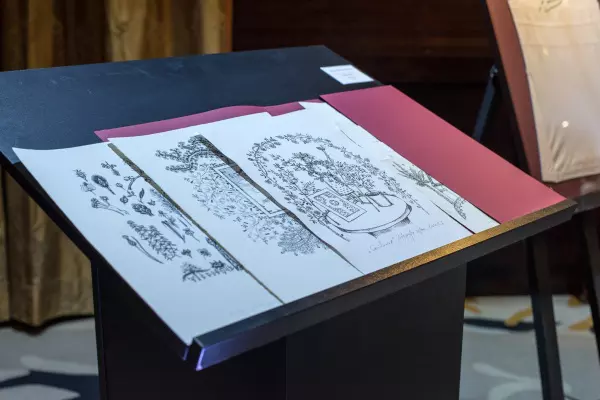 Mapa gravuri Stefan Caltia