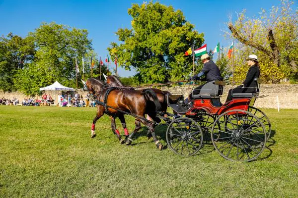 Karpatia Horse Show