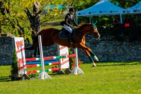 Karpatia Horse Show