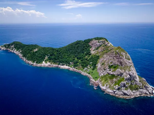 Ilha da Queimada Grande (Brazilia)