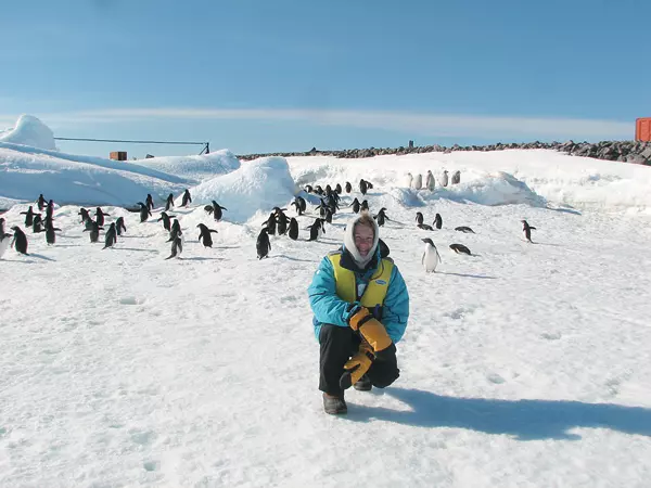 In vizita la coloniile de pinguini Adelie si Imperiali 