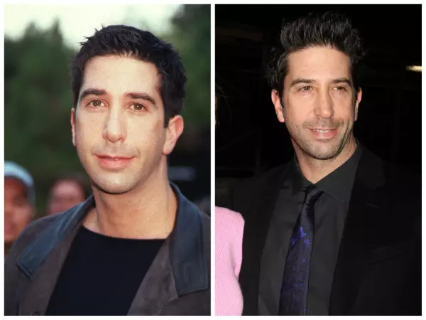 David Schwimmer, „Friends”
