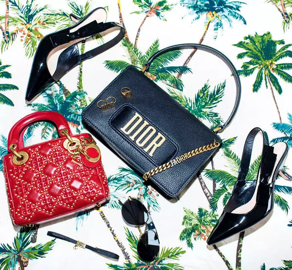 Operatiunea Dulapul cu Veronica Ferraro