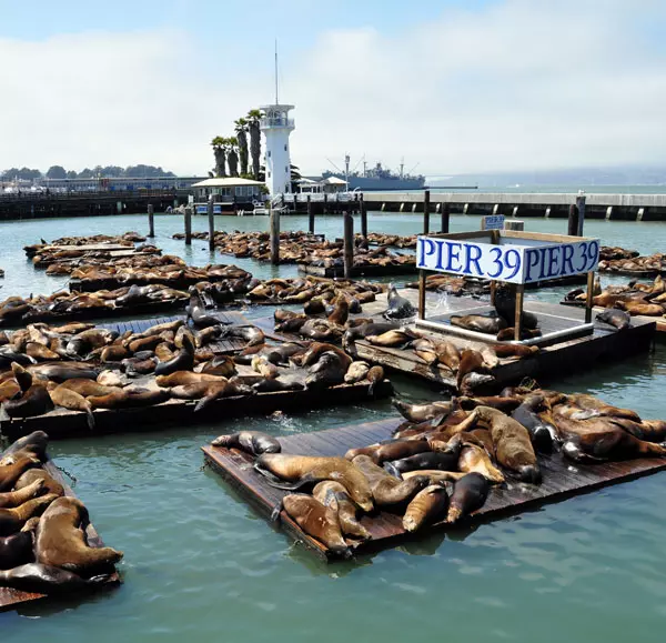 Fisherman’s Wharf