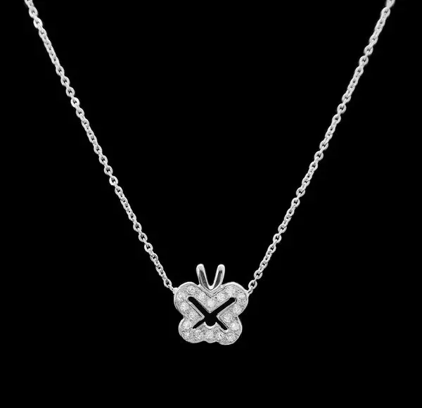 Andreea Raicu, Serendipity