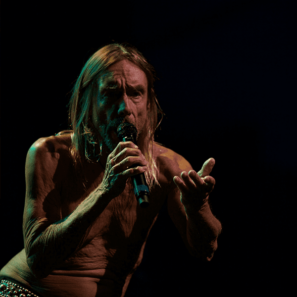 iggy-pop