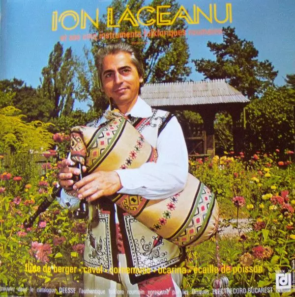 ce-a-ajuns-sa-faca-ion-laceanu-pentru-bani-la-84-de-ani-4