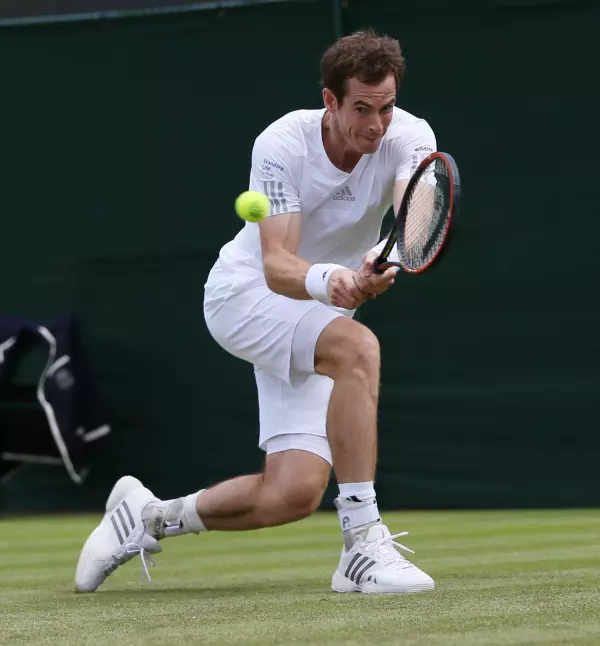 Andy Murray