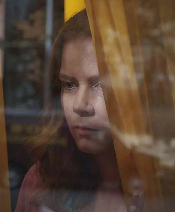 The Woman in the Window (Femeia de la fereastră)