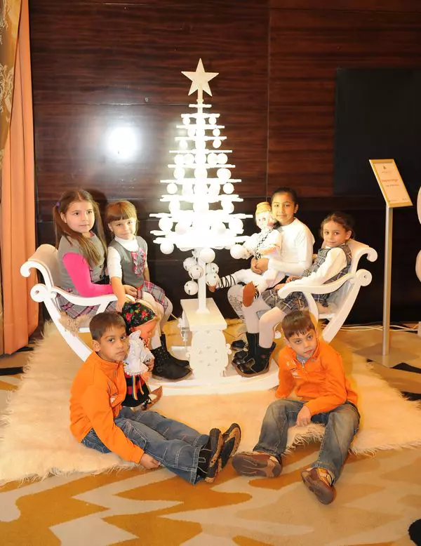 estivalul Brazilor de Craciun