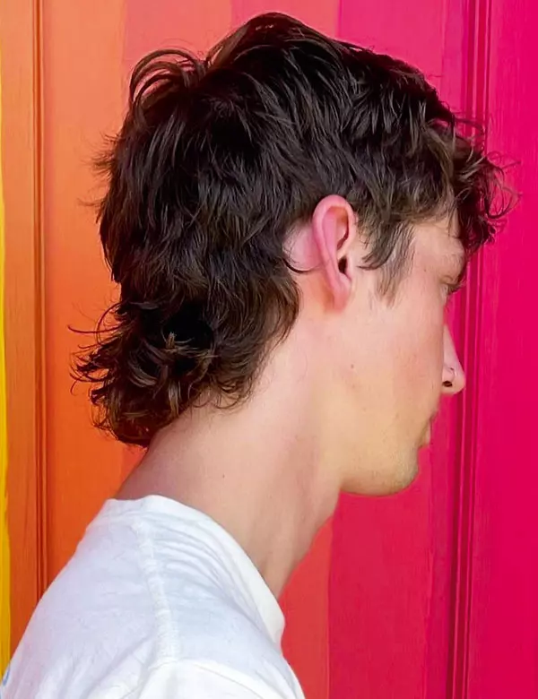 The return of the mullet (1)