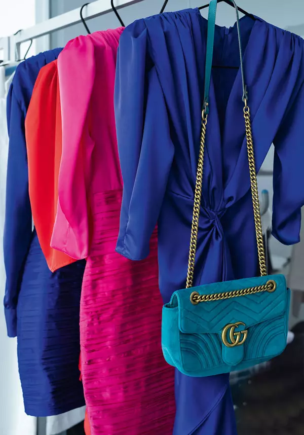 Operațiunea Dulapul cu Gina Chirilă