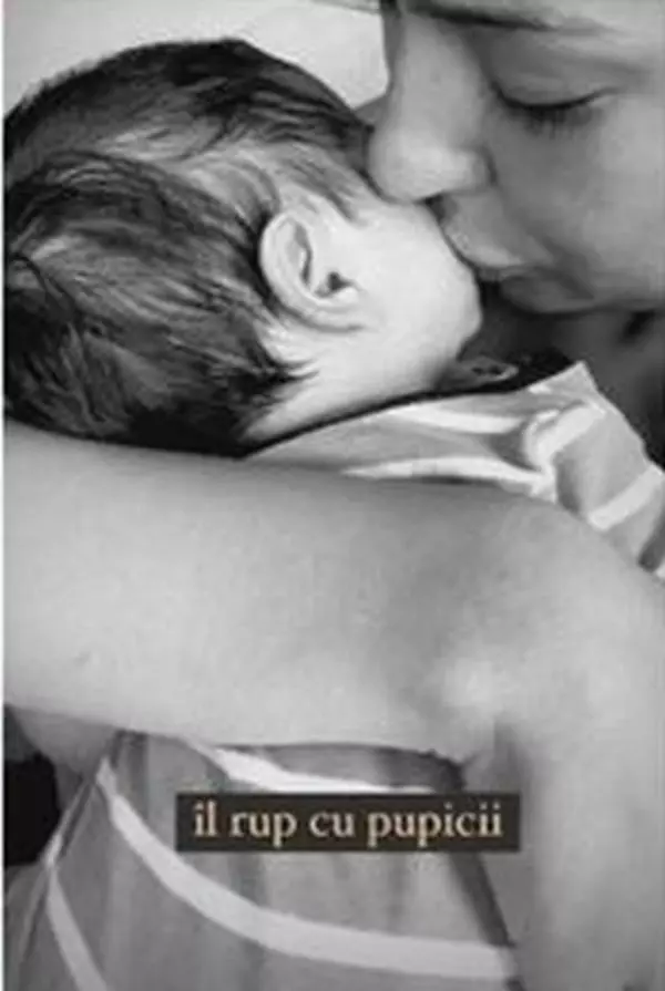 vladuta-lupau-iair-1