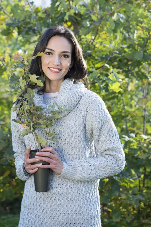 Să Plantăm pentru Planetă