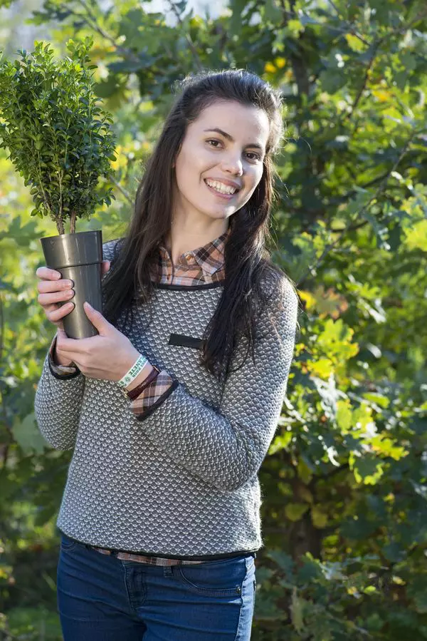 Să Plantăm pentru Planetă