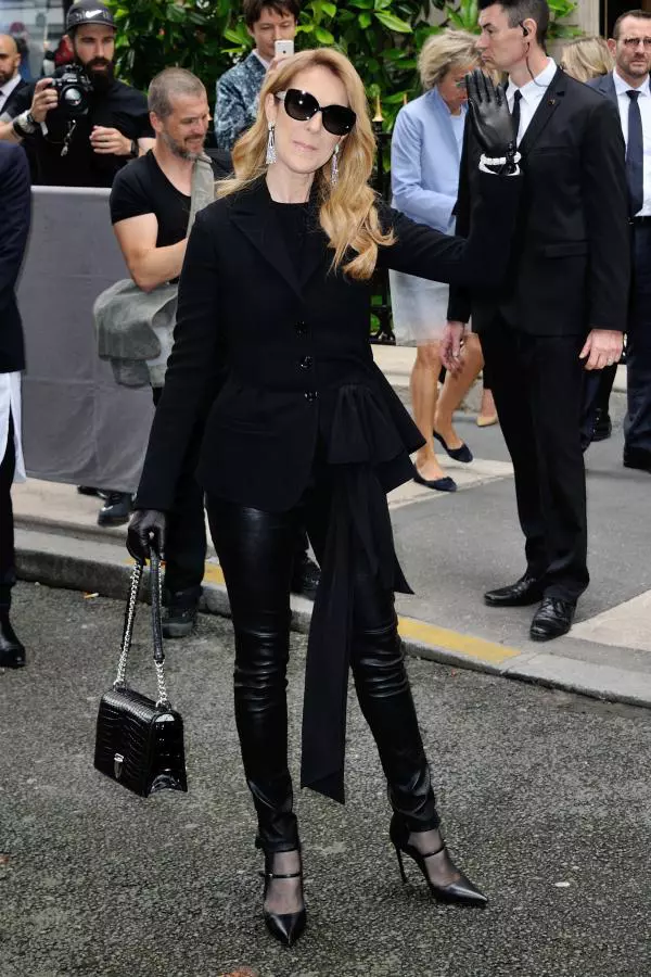 Celine Dion - Christian Dior