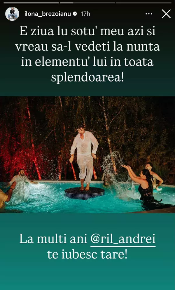 Mesajul Ilonei