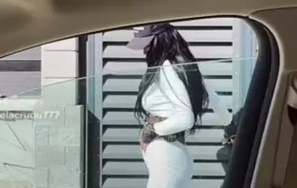 daniela crudu gravida