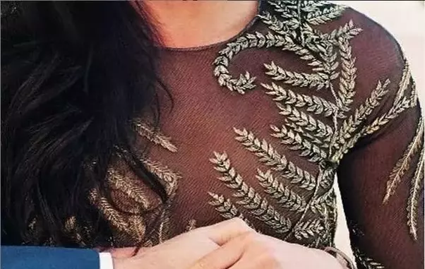 meghan-inel-logodna.3