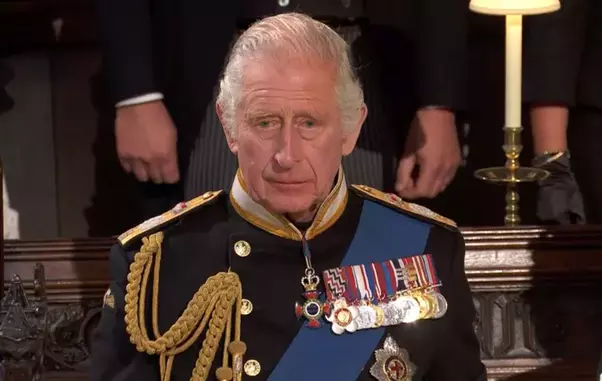 hepta_6662912-1-scaled-1