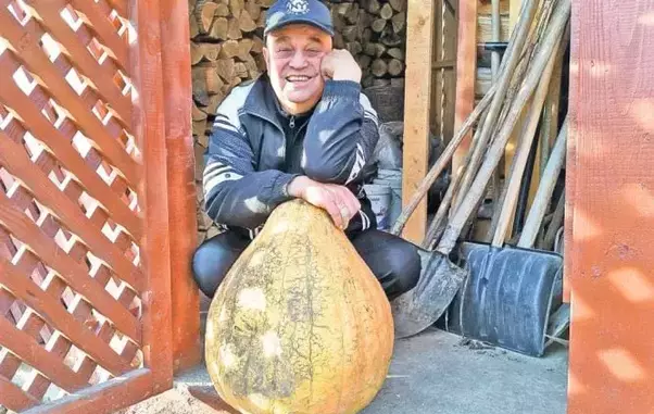 benone-cu-bostanii-1-1