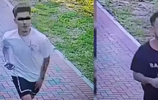 accident-parc-pantelimon-sofer